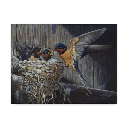 Wilhelm Goebel 'Country Barn Swallows' Canvas Art,18x24